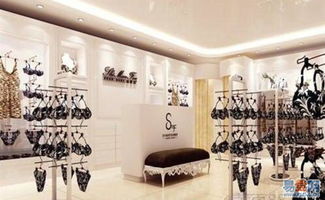 伟奥专业龙华内衣店装修设计 用心服务，打造专卖典范